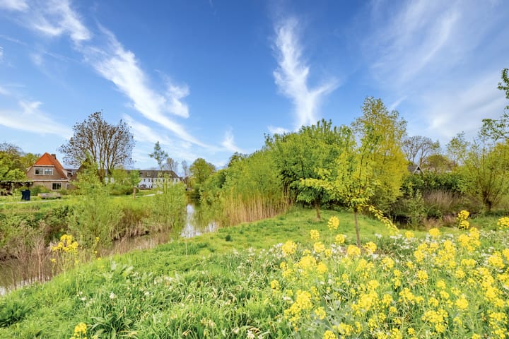 Foto 46 van Voedselbos Rijnvliet 16