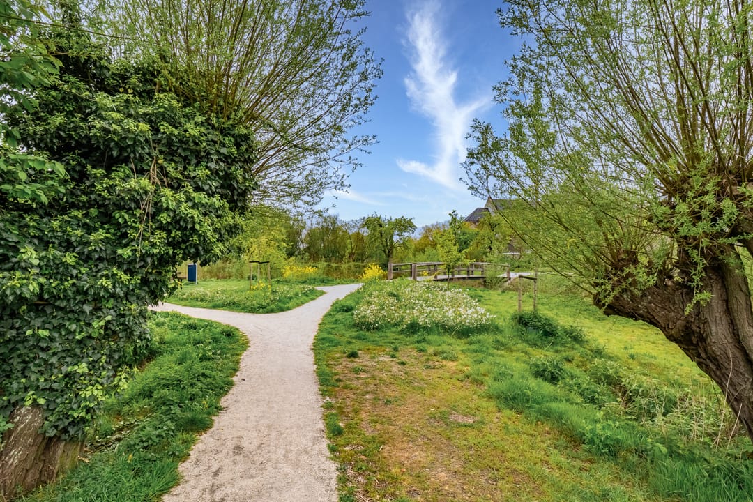 Foto 47 van Voedselbos Rijnvliet 16