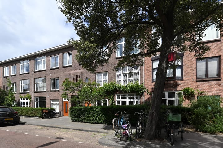 Ligusterstraat 61