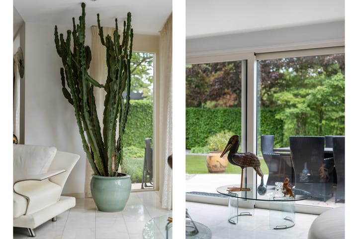 Foto 8 van Dolfijnpark 7