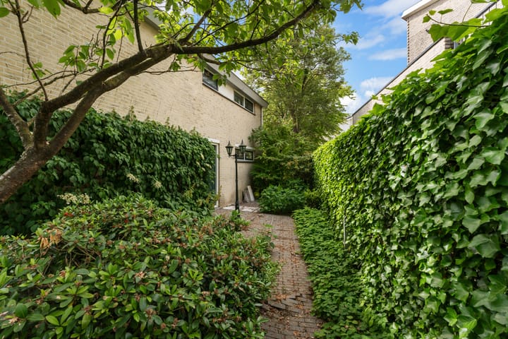 Foto 49 van Dolfijnpark 7