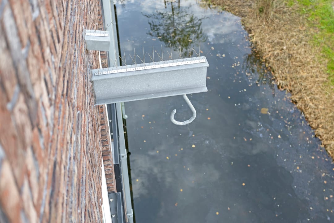 Photo 46 of Chris van Abkoudestraat 21