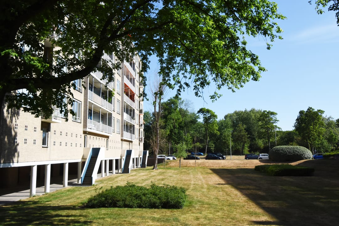 Foto 2 van Van Alkemadelaan 1028