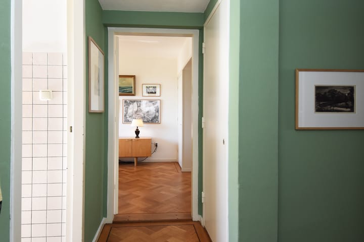 Foto 4 van Van Alkemadelaan 1028