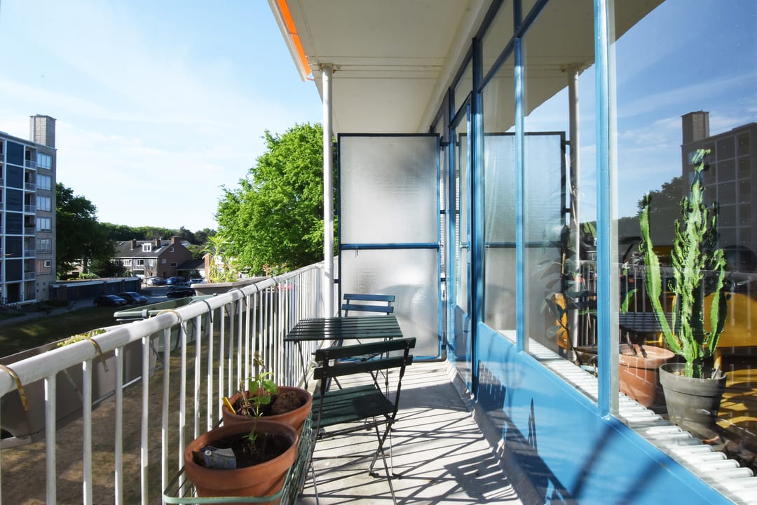 Foto 16 van Van Alkemadelaan 1028