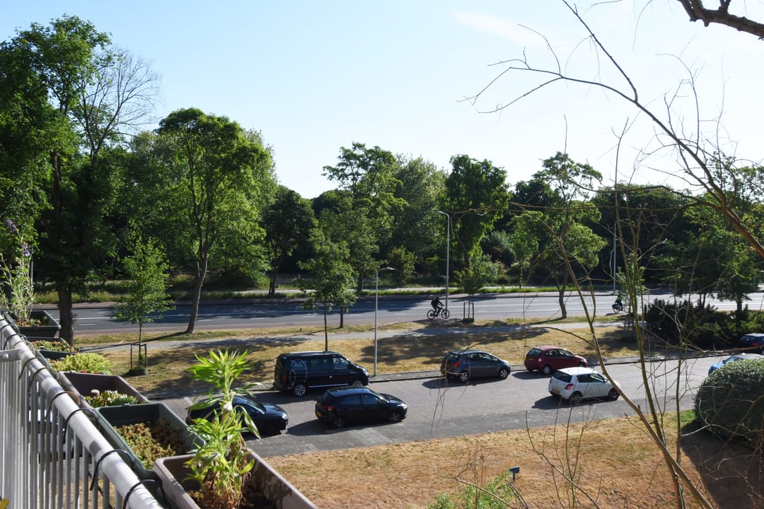 Foto 17 van Van Alkemadelaan 1028