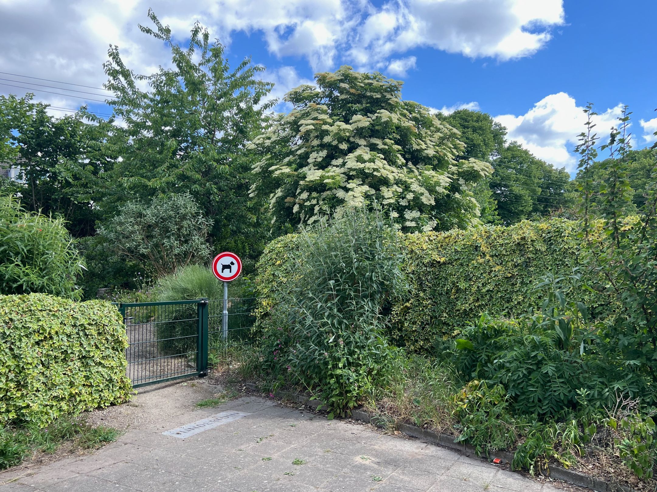 Foto 84 van Spoorwegstraat 67