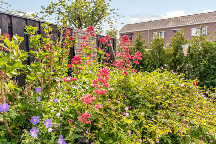 Foto 33 van Bazaltstraat 32