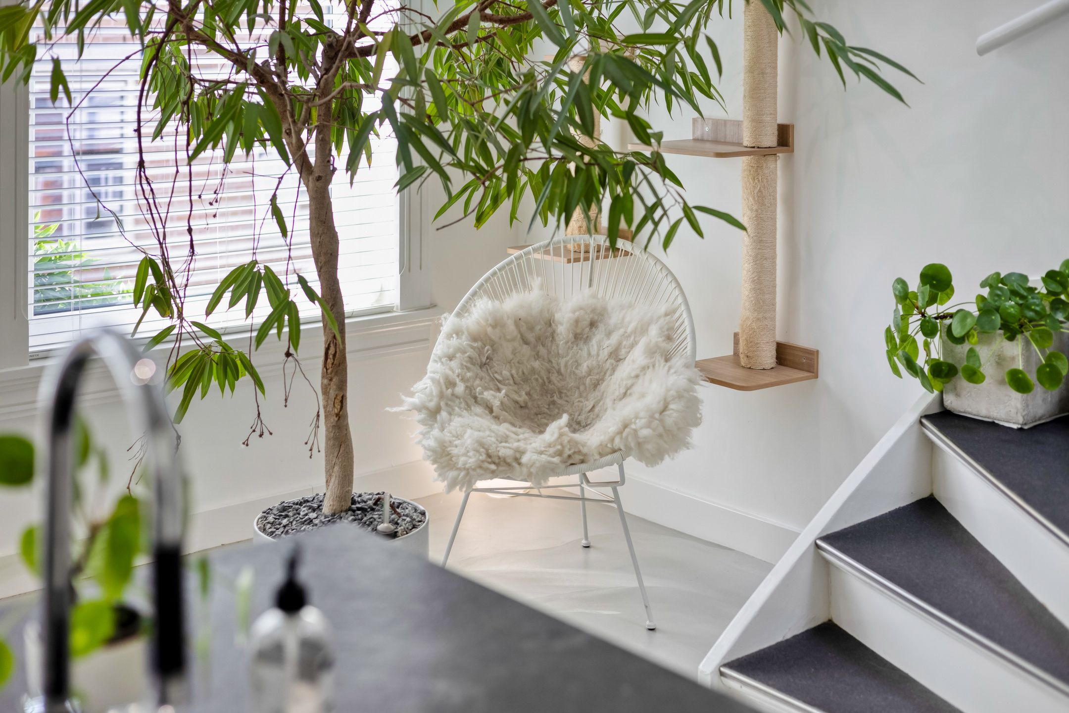 Foto 39 van Spoorwegstraat 67