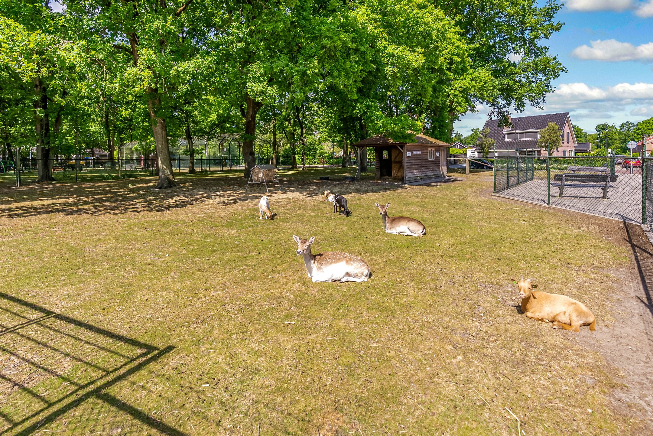 Foto 45 van Bazaltstraat 32