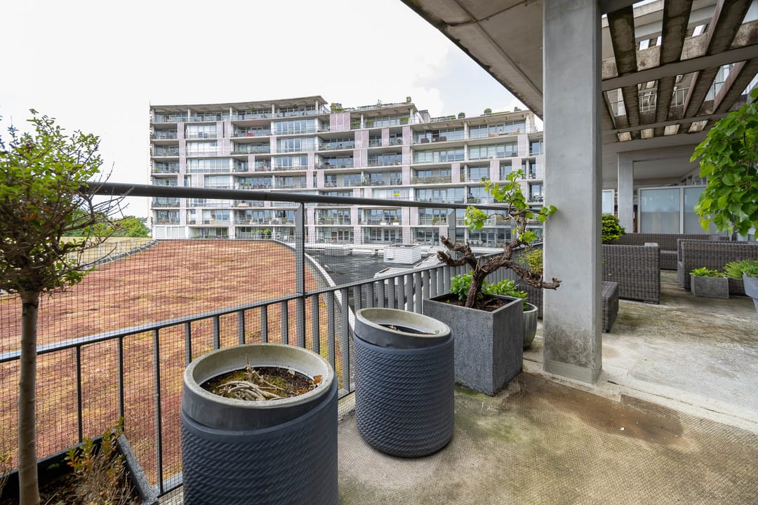 Photo 13 of Zuidland 15