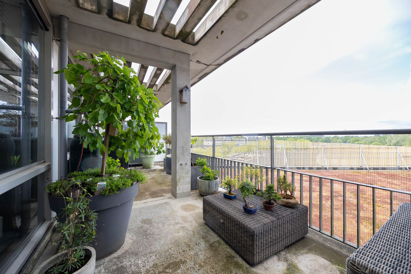 Photo 14 of Zuidland 15