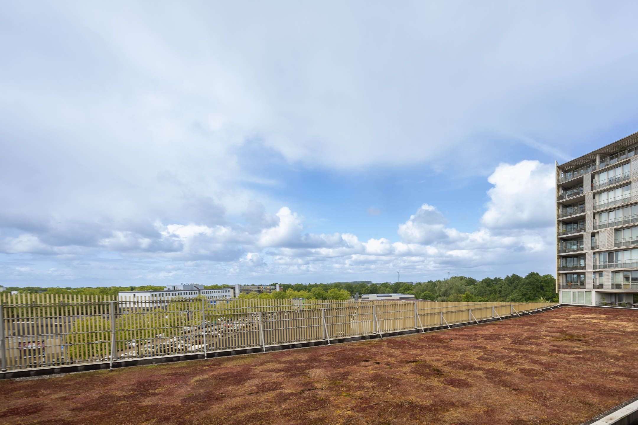 Photo 15 of Zuidland 15