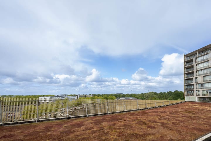 Foto 15 van Zuidland 15