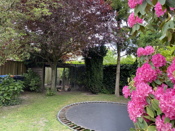 Foto 29 van Dom S. Dubuissonstraat 52