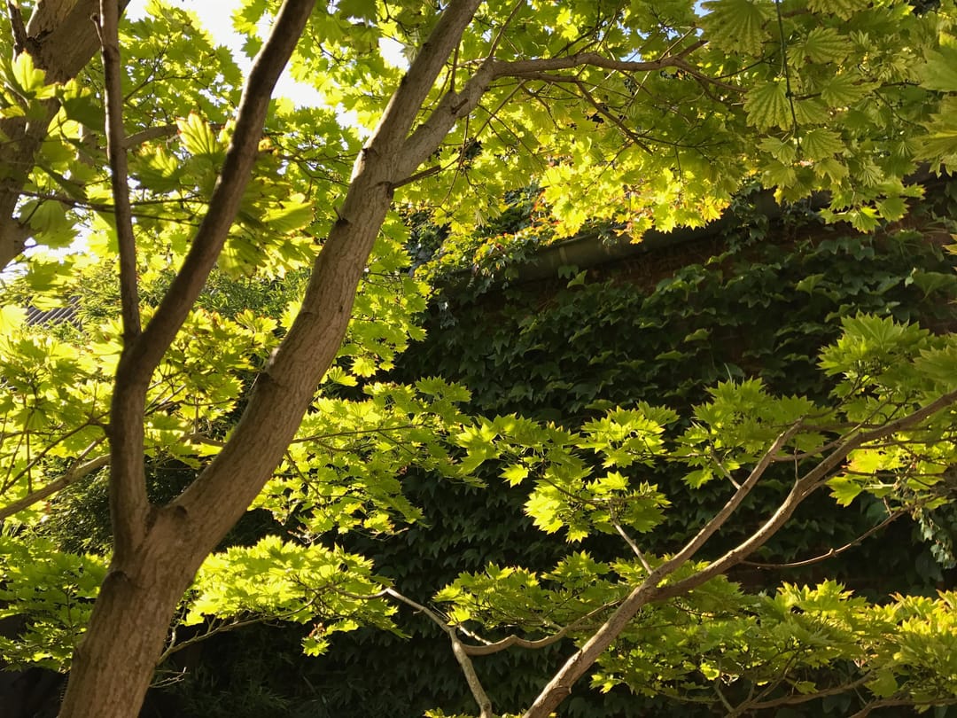 Foto 68 van Spoorwegstraat 67