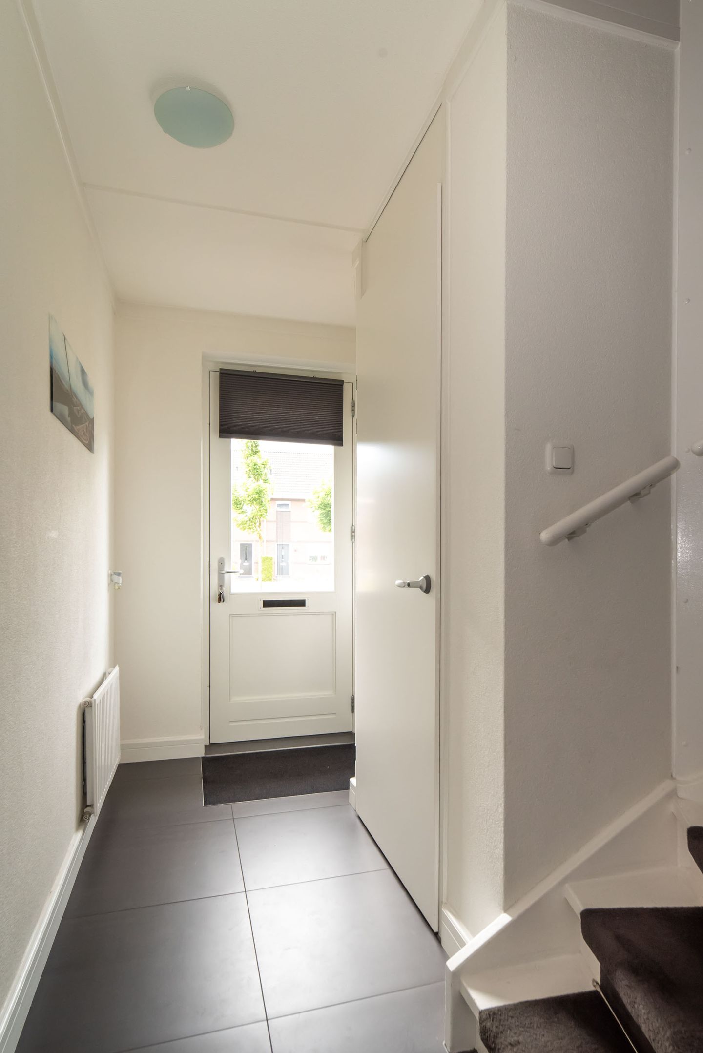 Photo 20 of Bereklauw 16