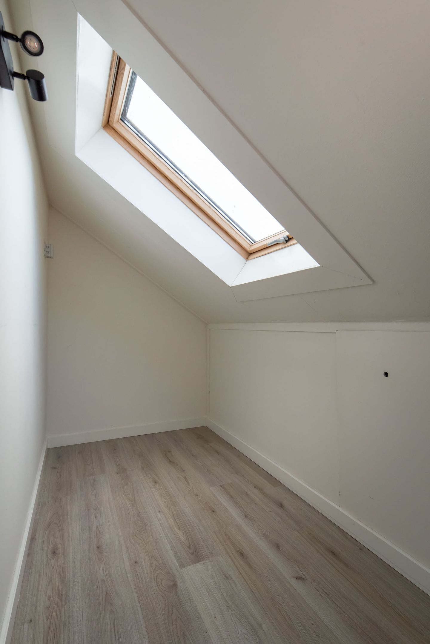 Photo 35 of Bereklauw 16