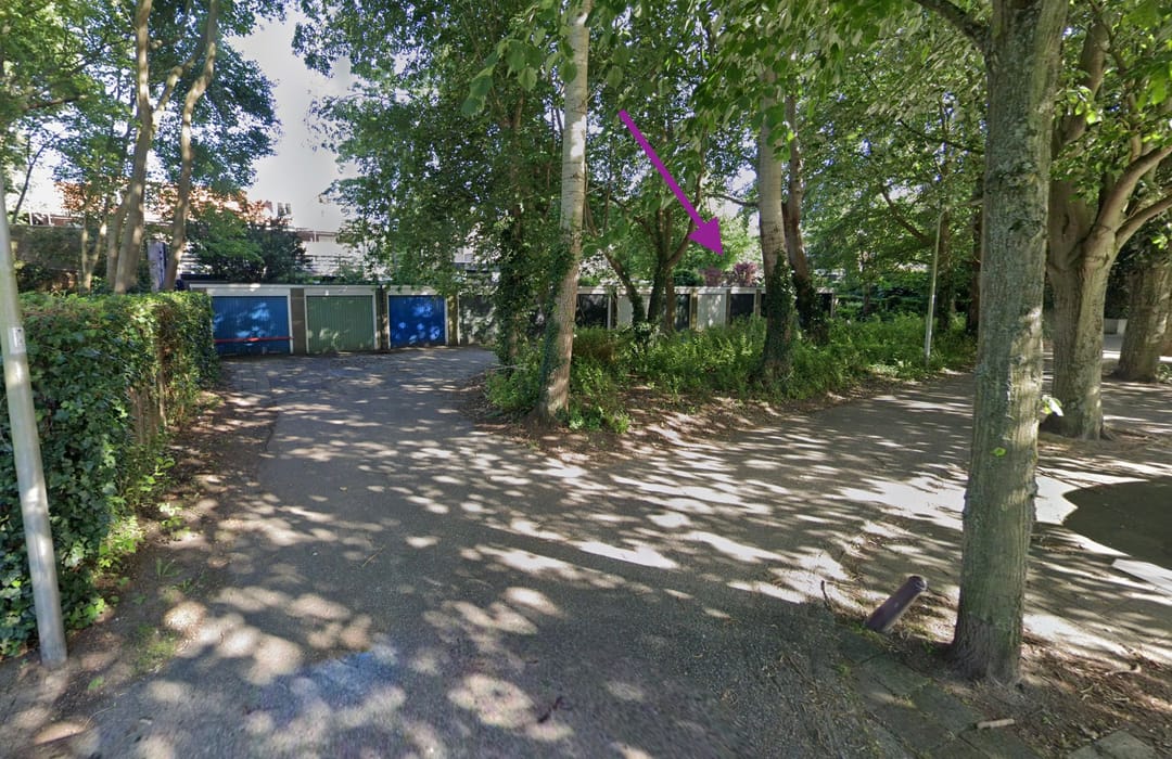 Foto 1 van Annemonelaan