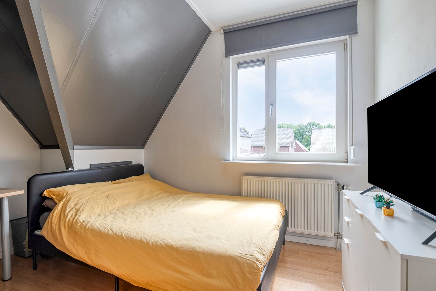 Foto 29 van Pastoor Reintjesstraat 15