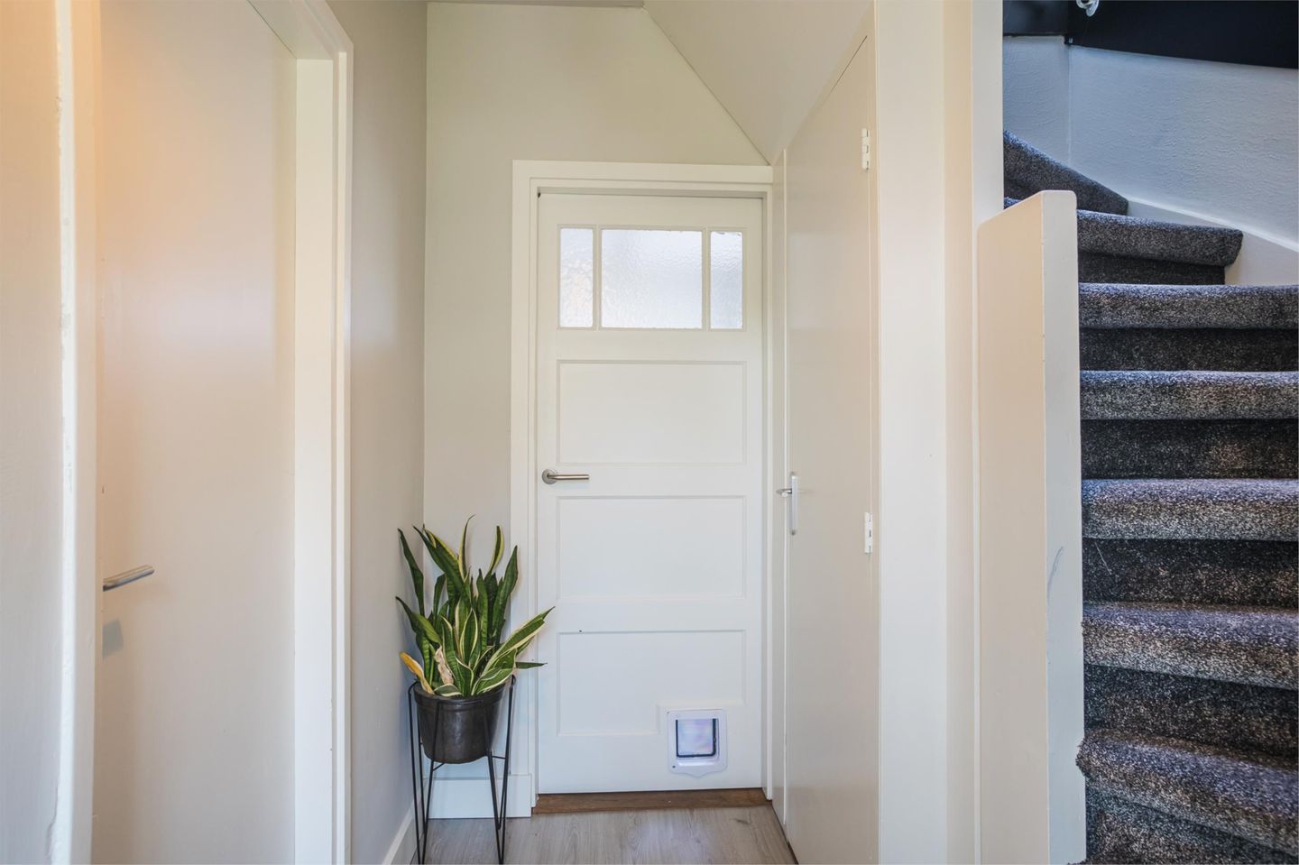 Foto 20 van Molenkolkweg 13