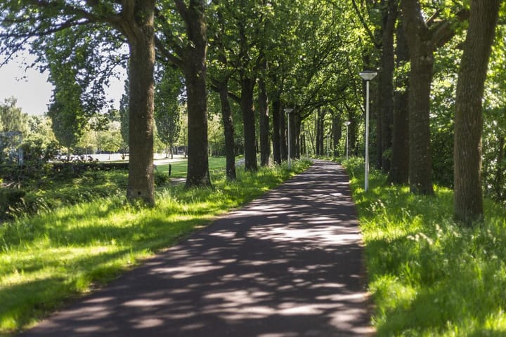 Foto 31 van Boelestein 31