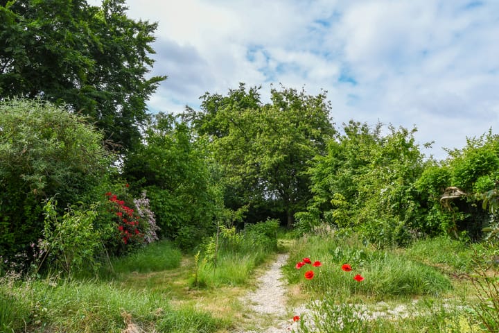 Foto 39 van Holstraat 13