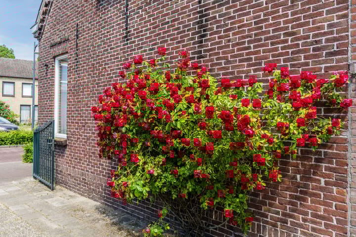 Foto 50 van Kruisstraat 22