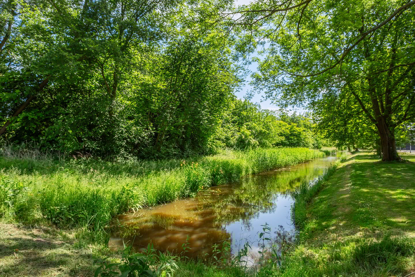 Foto 19 van Henriëtte Bosmanslaan 5