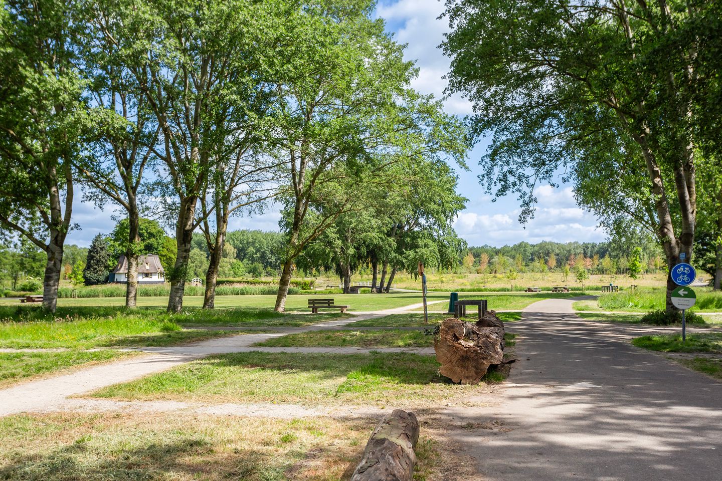 Foto 20 van Henriëtte Bosmanslaan 5