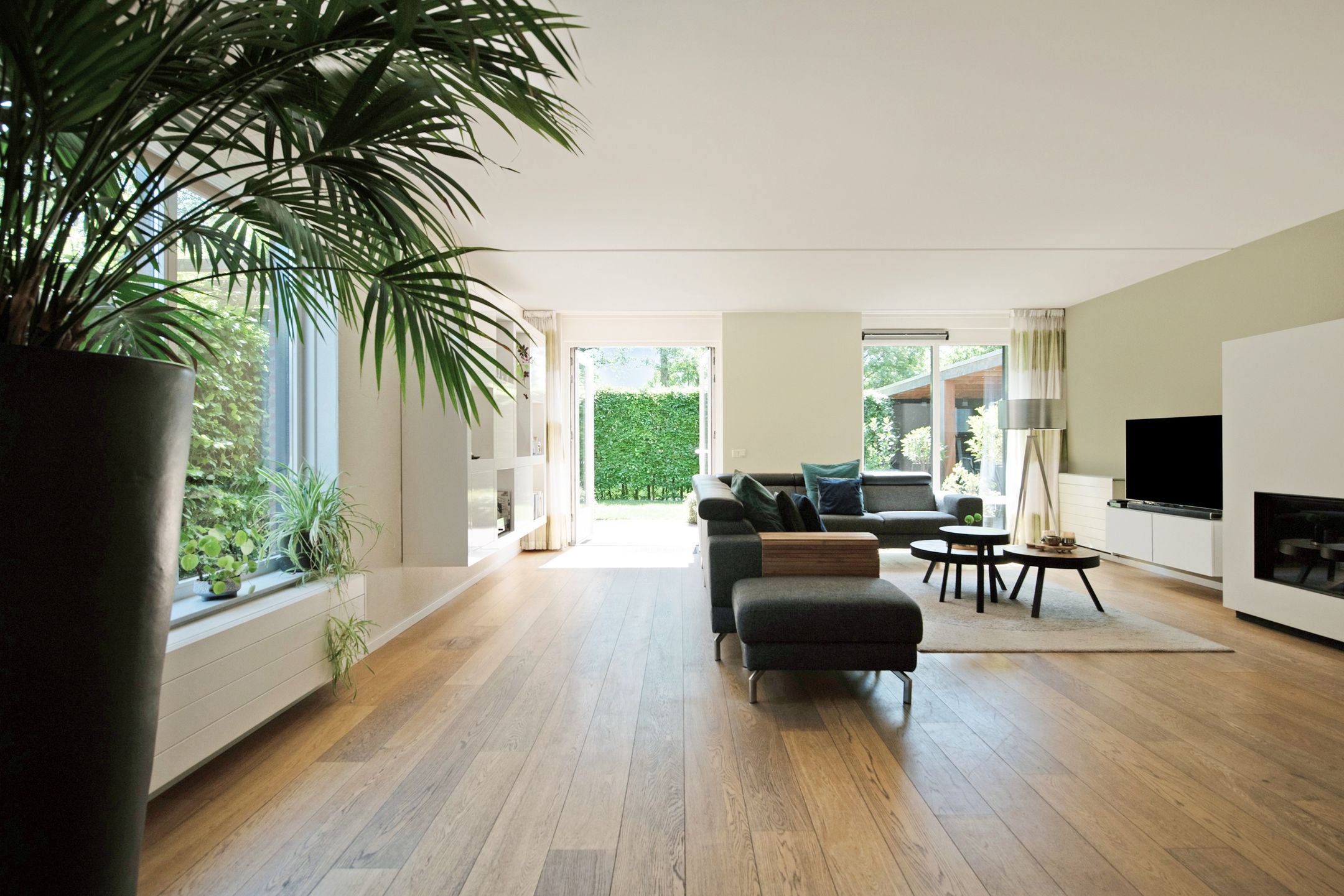 Foto 3 van Suzannapolder 14