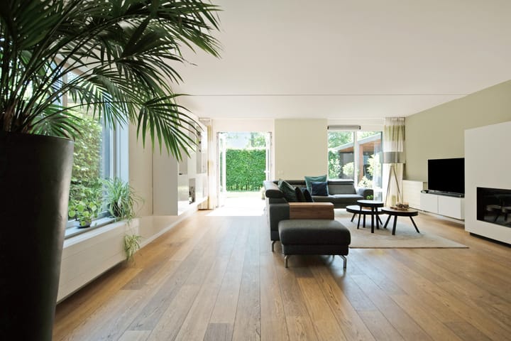 Foto 3 van Suzannapolder 14