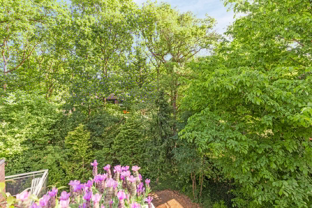 Foto 13 van Generaal Winkelmanlaan 51