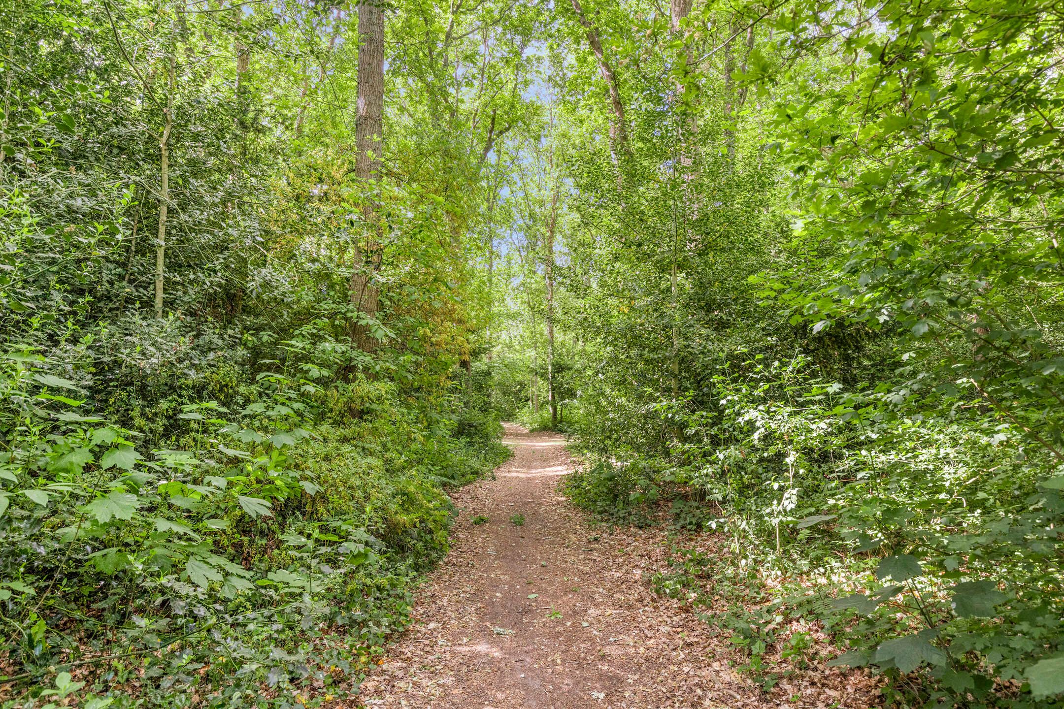 Foto 33 van Generaal Winkelmanlaan 51