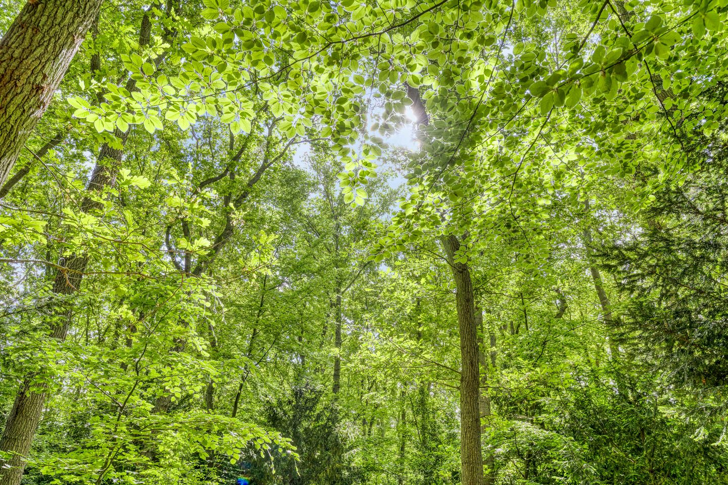 Foto 34 van Generaal Winkelmanlaan 51