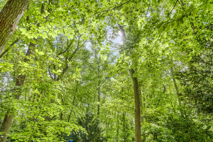 Foto 34 van Generaal Winkelmanlaan 51