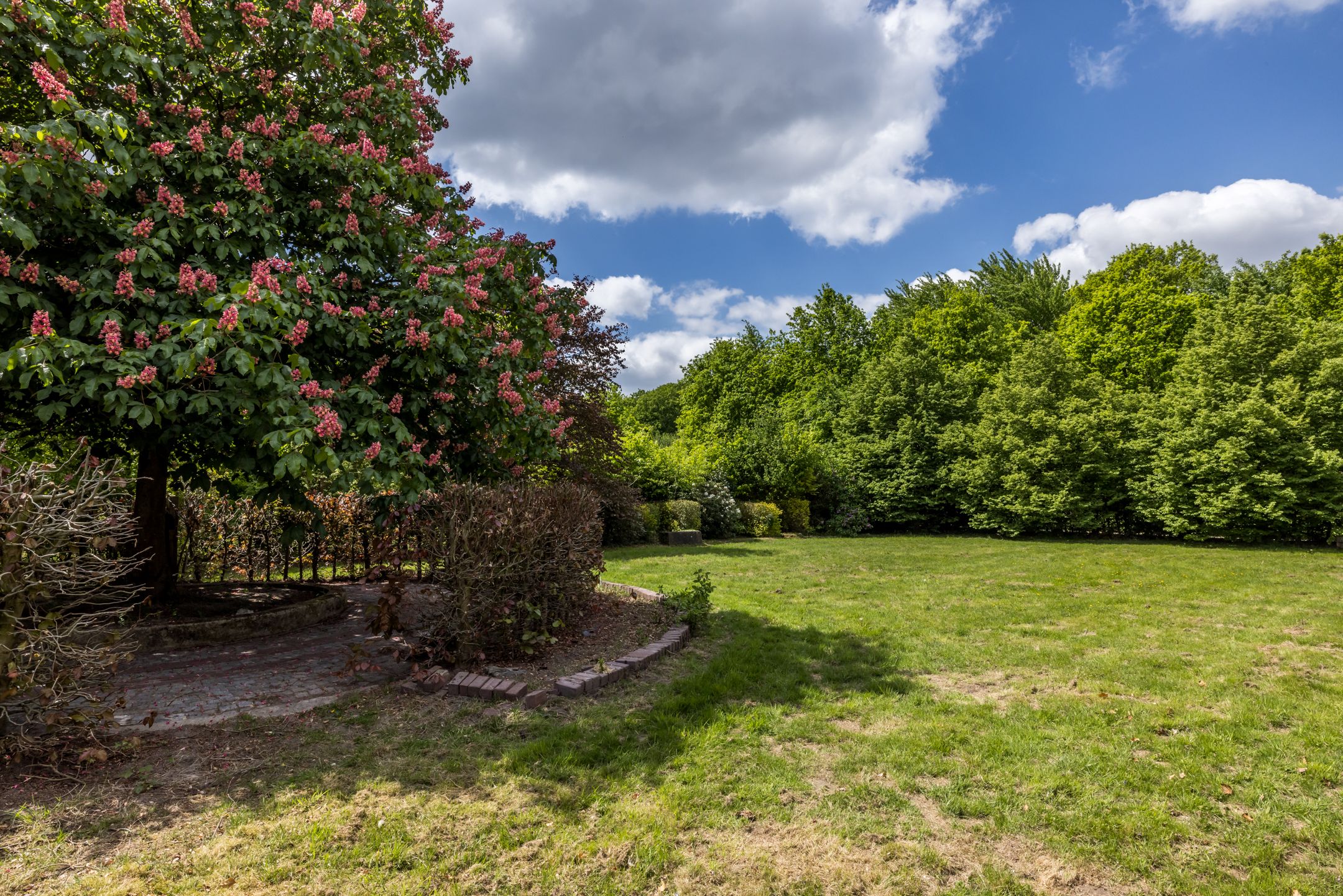 Foto 48 van Ruscher 1