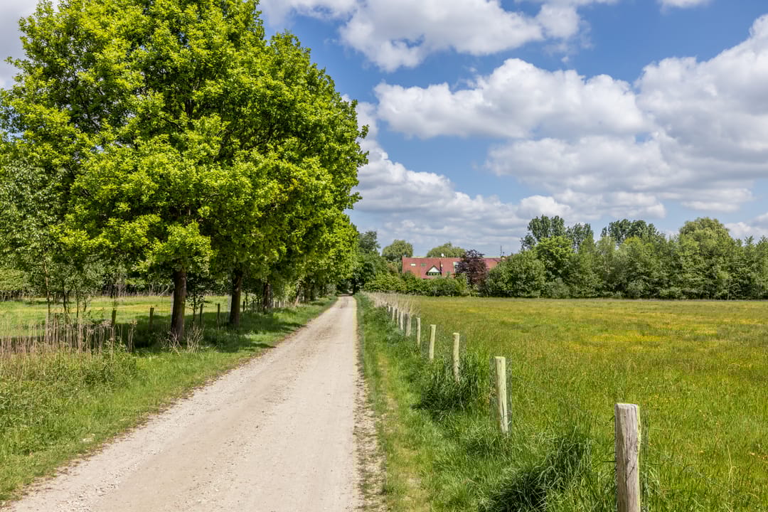 Foto 53 van Ruscher 1