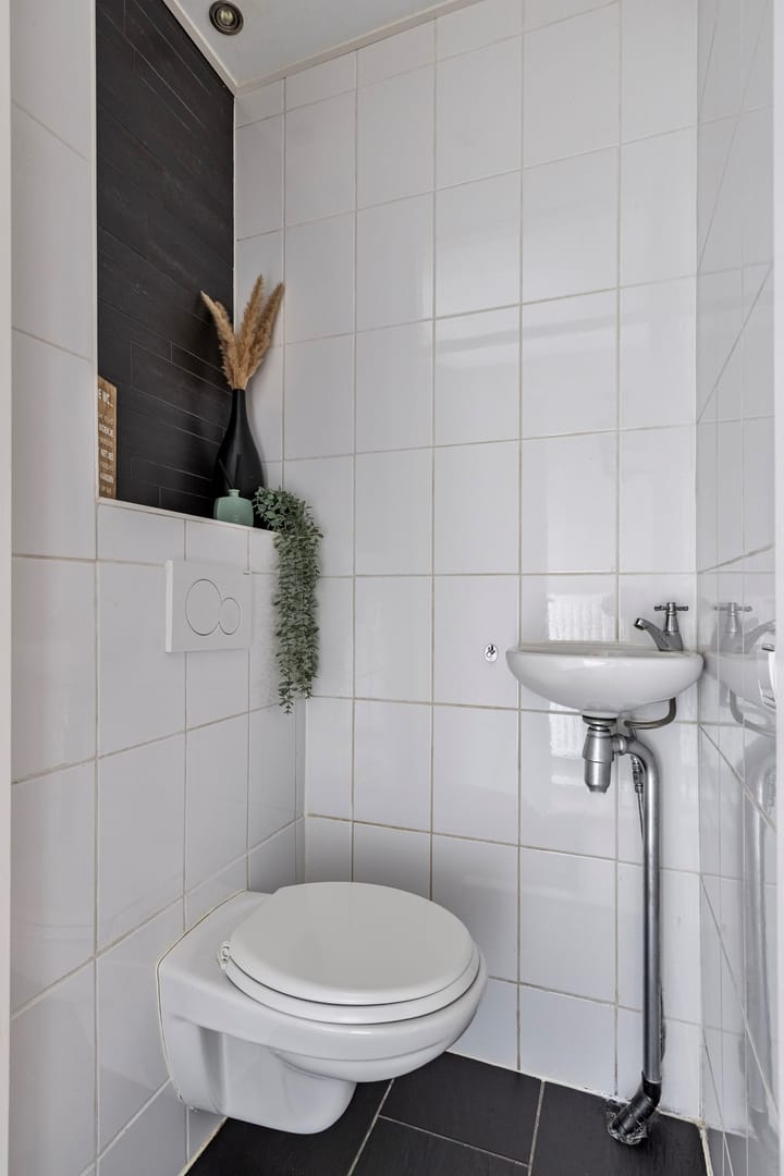 Foto 9 van Tuinfluiter 8