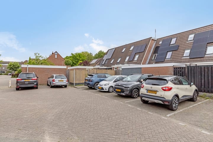 Foto 33 van Tuinfluiter 8