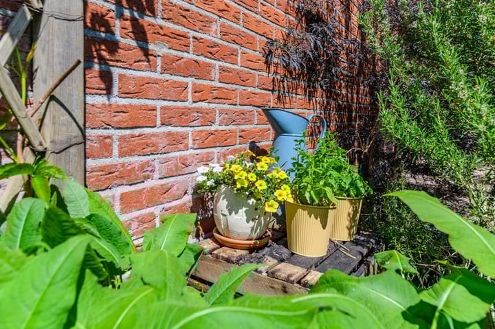 Foto 39 van Bloemstraat 7