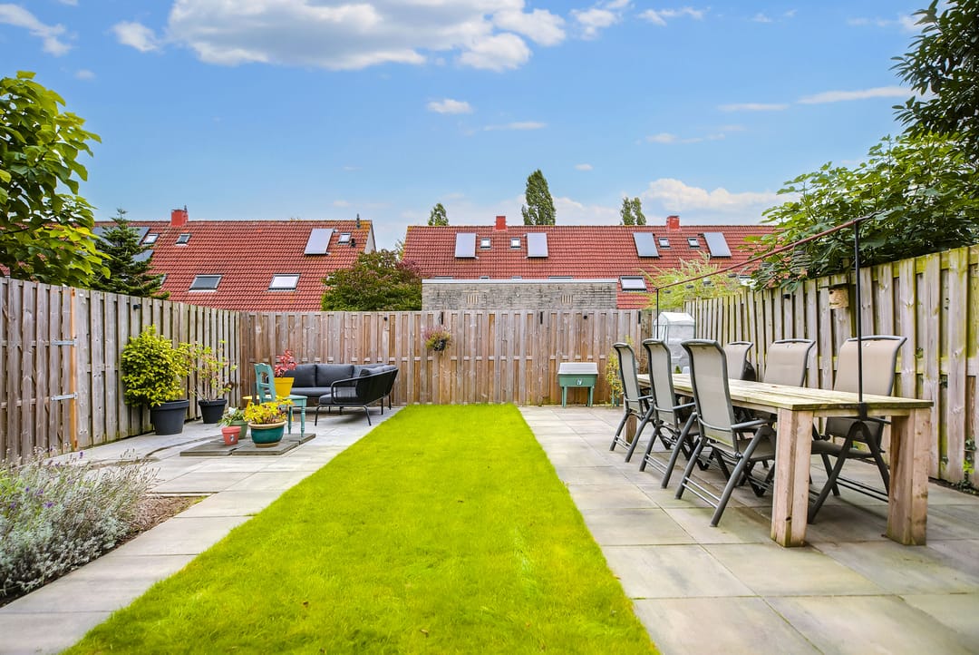 Foto 37 van Speenkruid 35