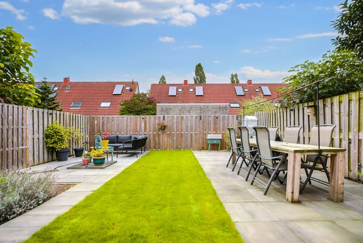 Foto 37 van Speenkruid 35