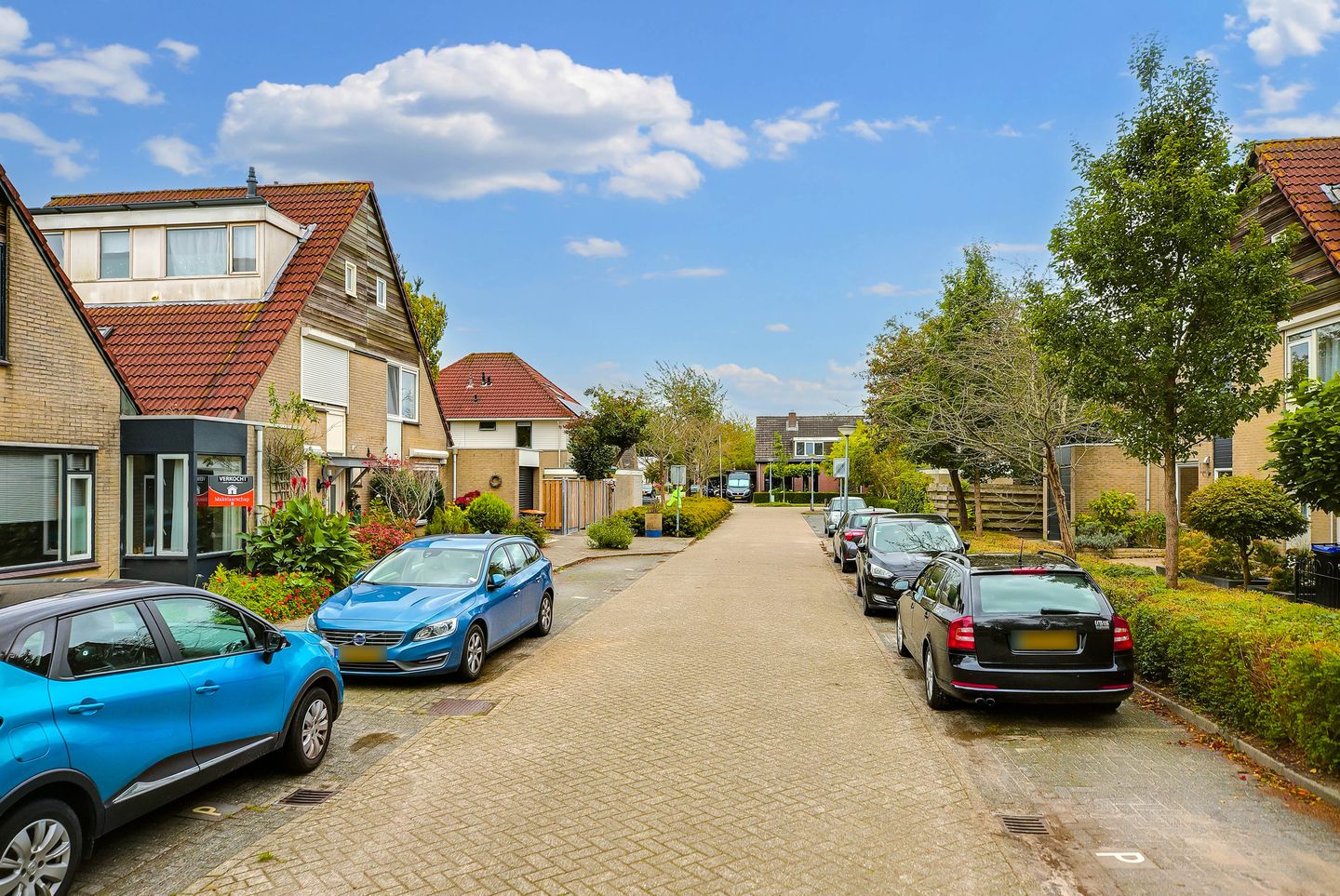 Foto 44 van Speenkruid 35