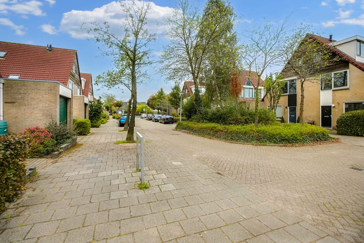 Foto 46 van Speenkruid 35