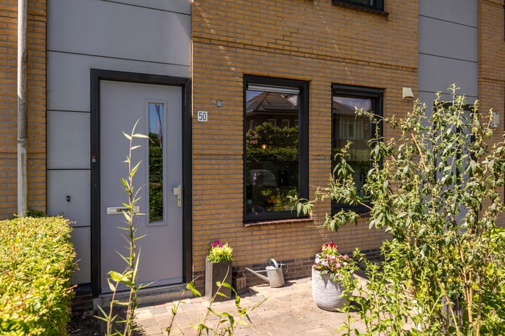 Foto 3 van Bantpolder 50