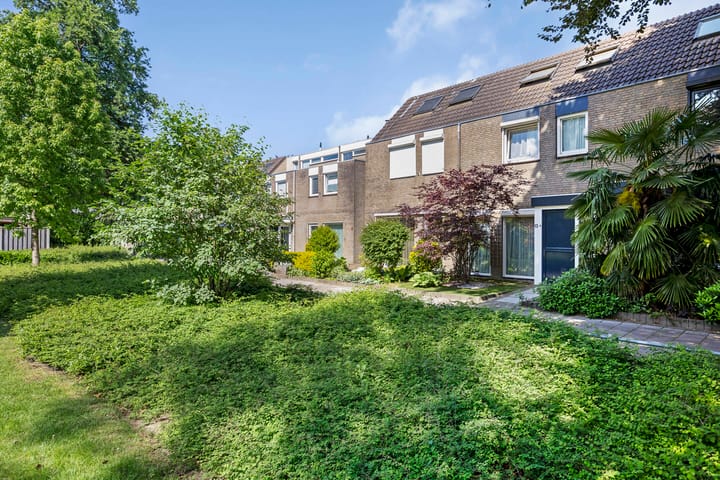 undefined main image