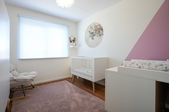 Photo 16 of Van Cosselaerstraat 47