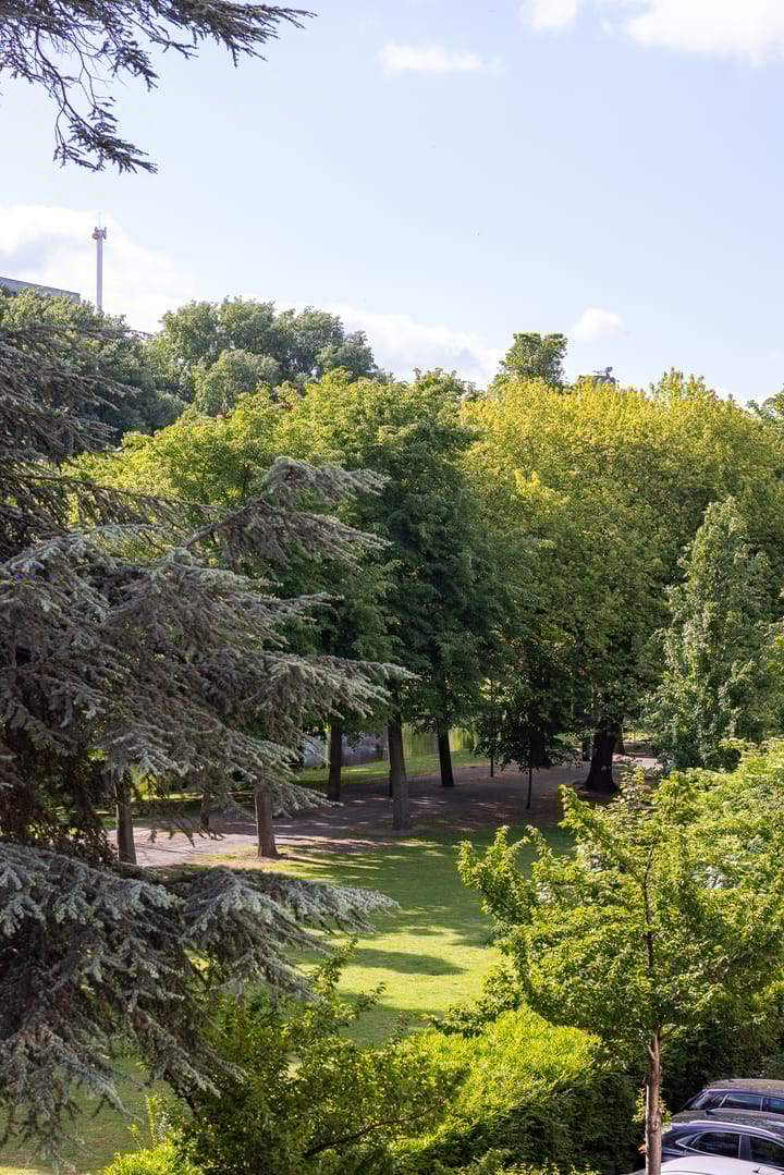 Foto 18 van Heemraadssingel 209-B02