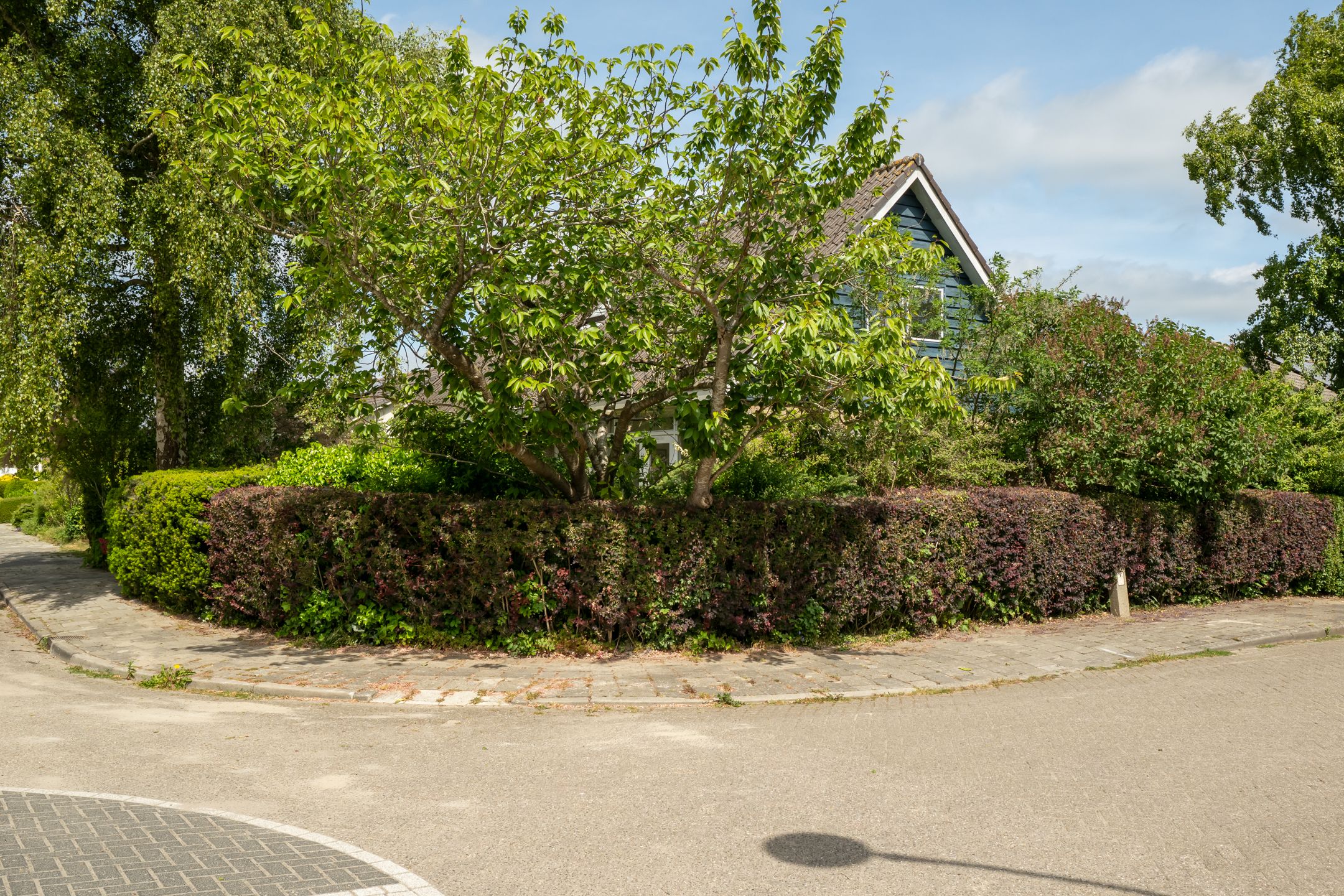 Foto 66 van Zaagmolenweg 9